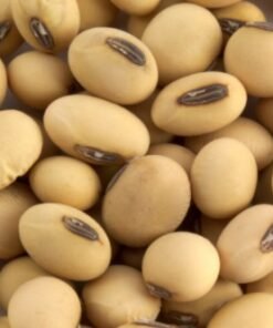Crude And Refined Soybean Oil