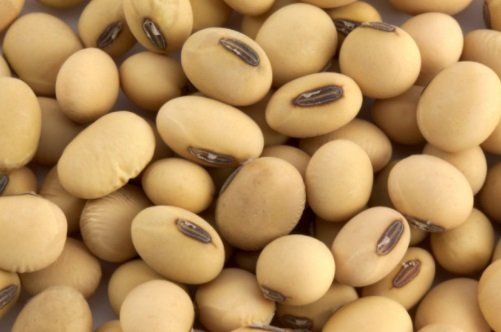 Crude And Refined Soybean Oil Crude And Refined Soybean Oil